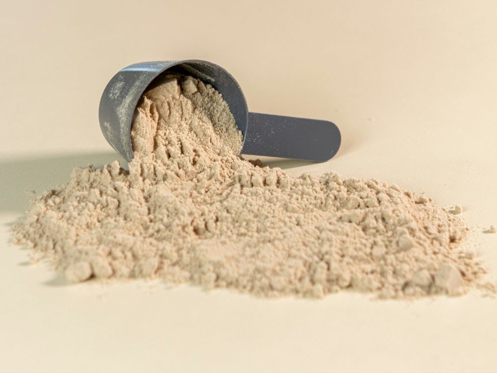 whey protein o que é