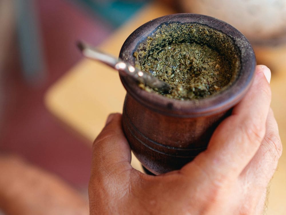 erva mate: chá para emagrecer