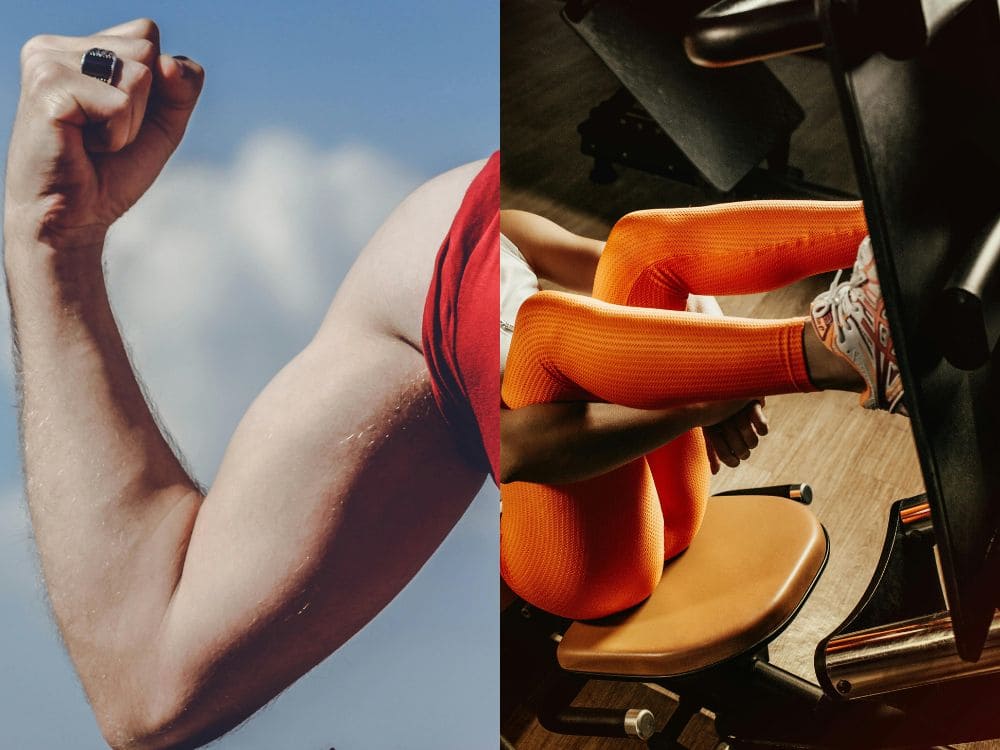 ficha de treino para hipertrofia: divisão muscular